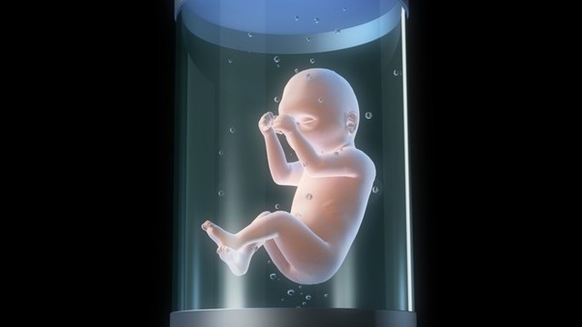 Bebekler anne rahminde değil laboratuvarlarda yetişecek